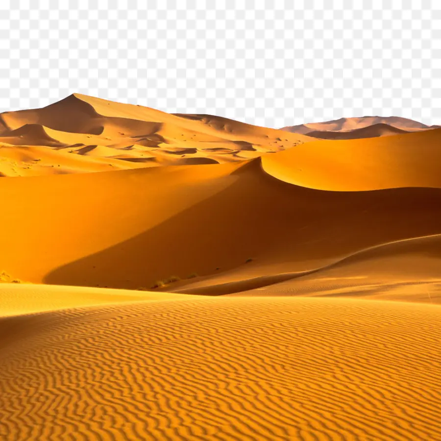 Sahara，Gurun Arab PNG
