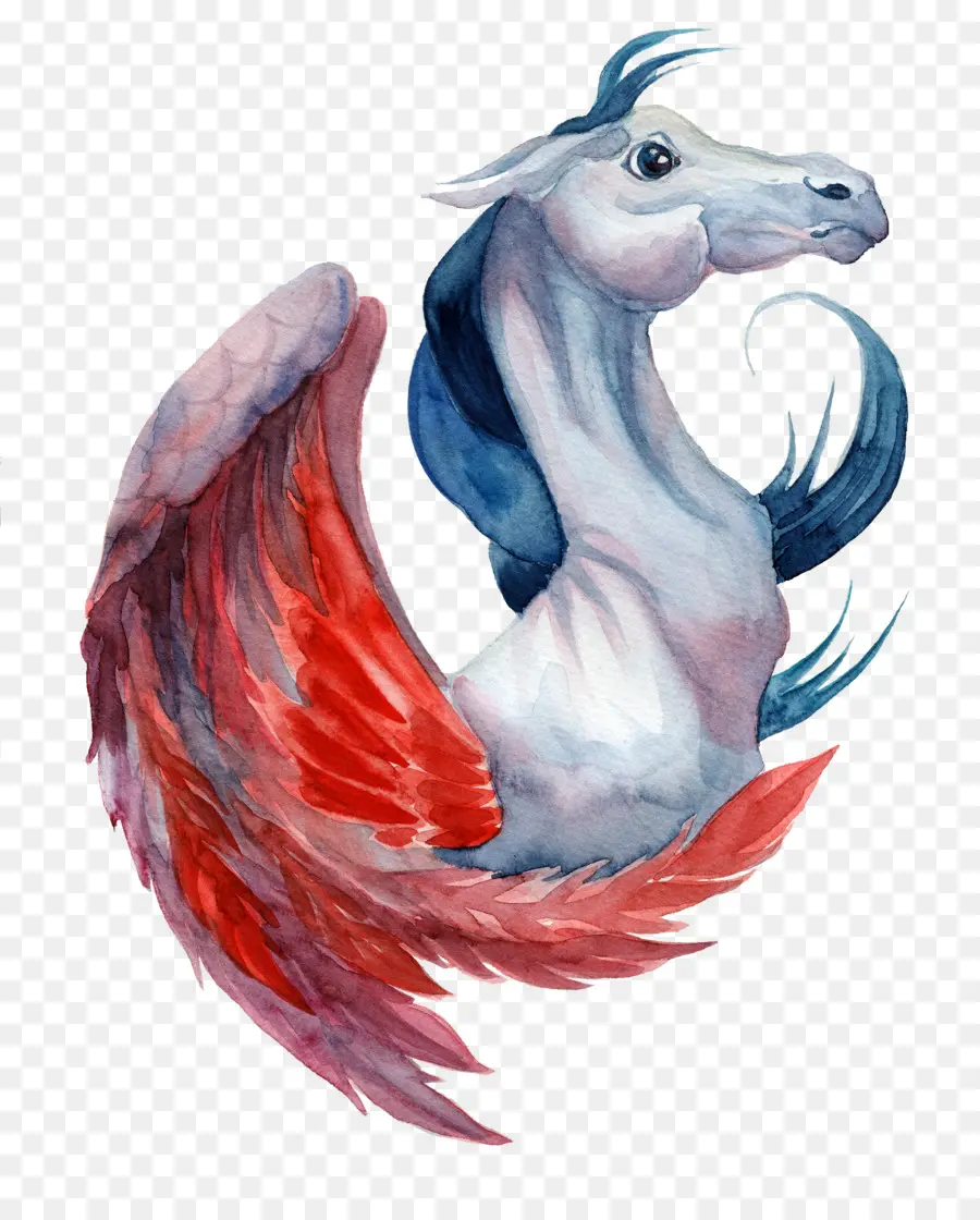 Pegasus，Kuda PNG