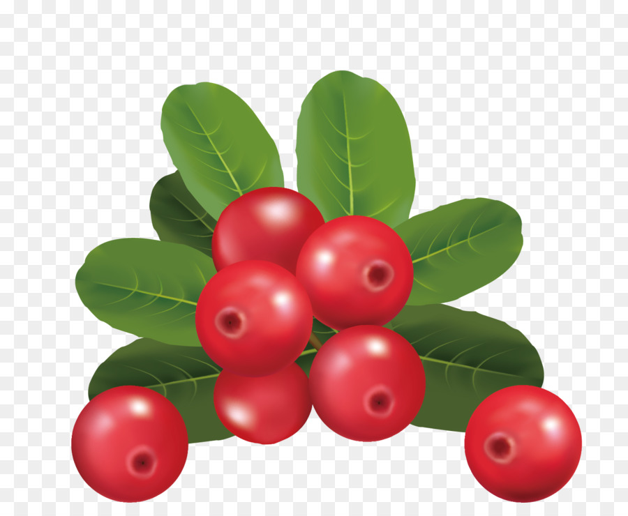 Berry Merah，Daun Daun PNG