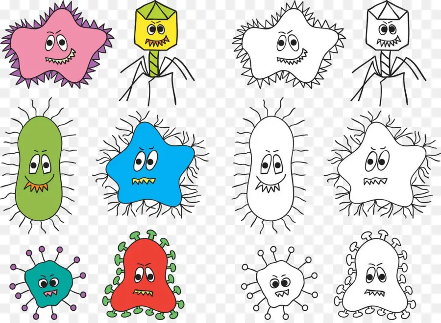 Bakteri，Gambar PNG