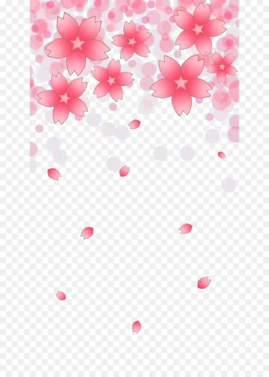 Sakura，Kelopak PNG