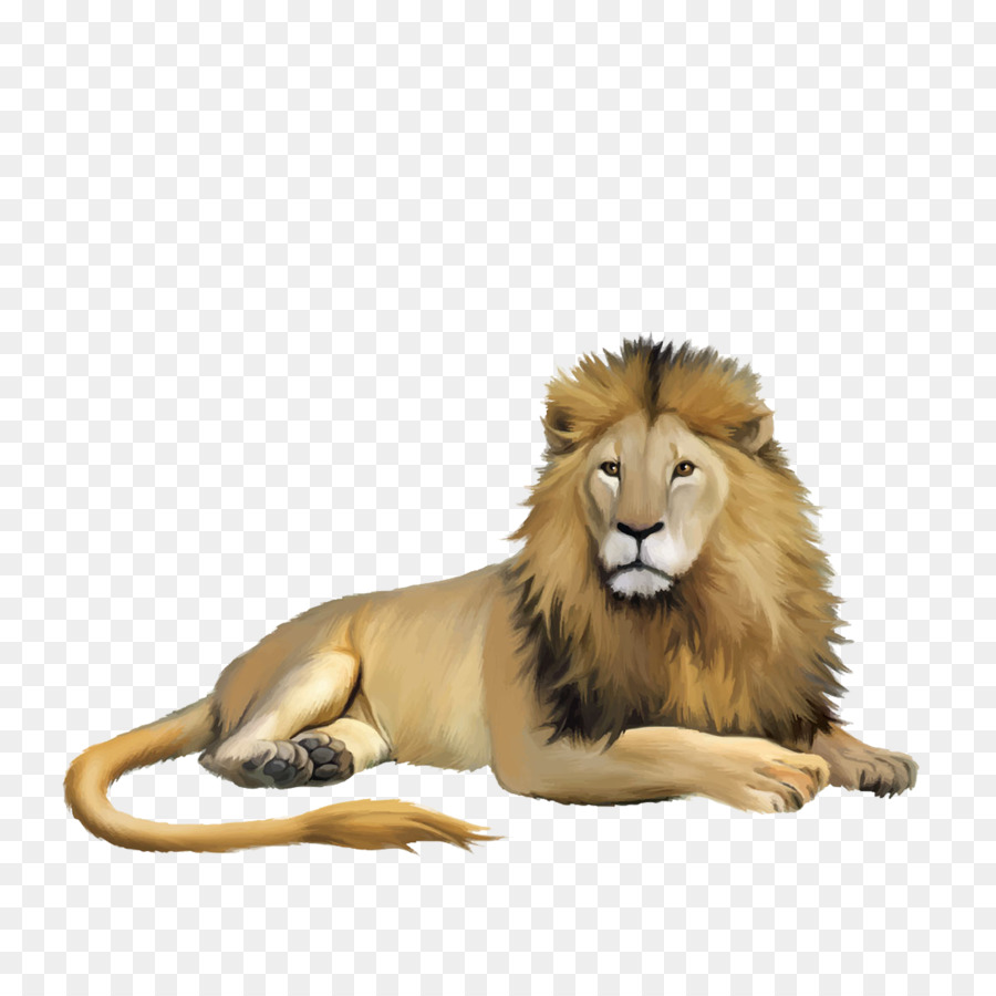 550+ Gambar Kartun Binatang Singa Terbaru