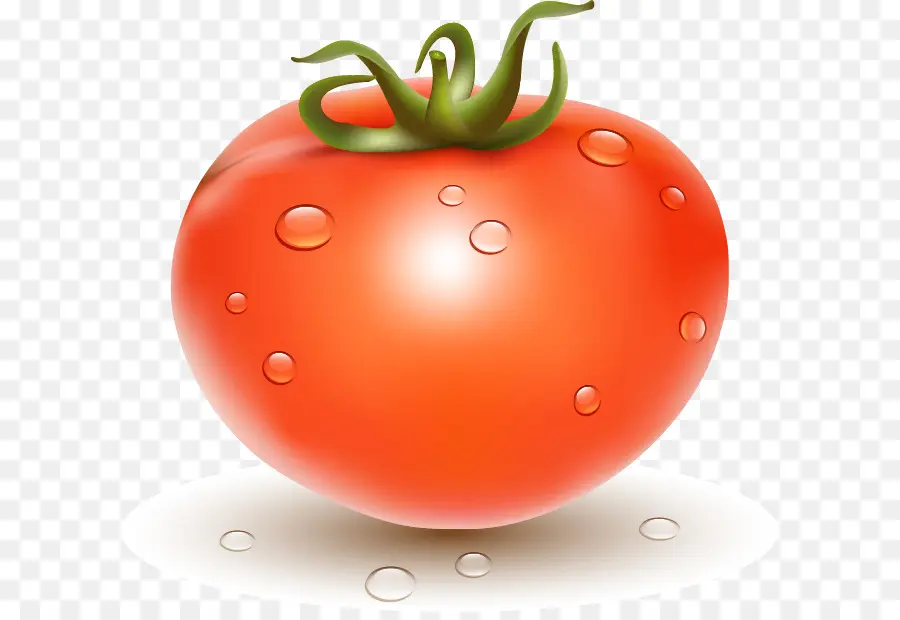 Tomat Plum，Jus Tomat PNG