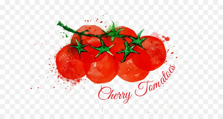 Tomat Cherry，Lukisan Cat Air PNG