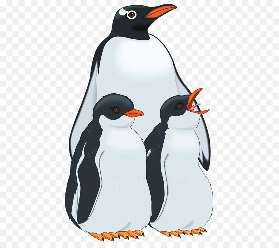 Penguin，Fotografi PNG