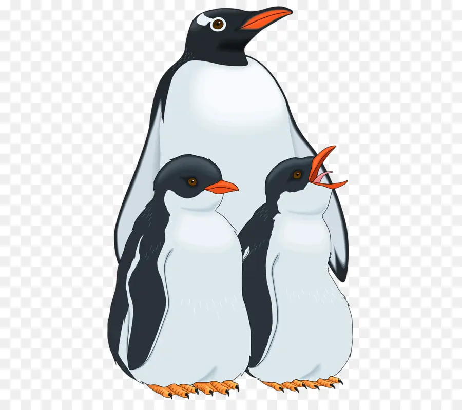 Penguin，Burung PNG