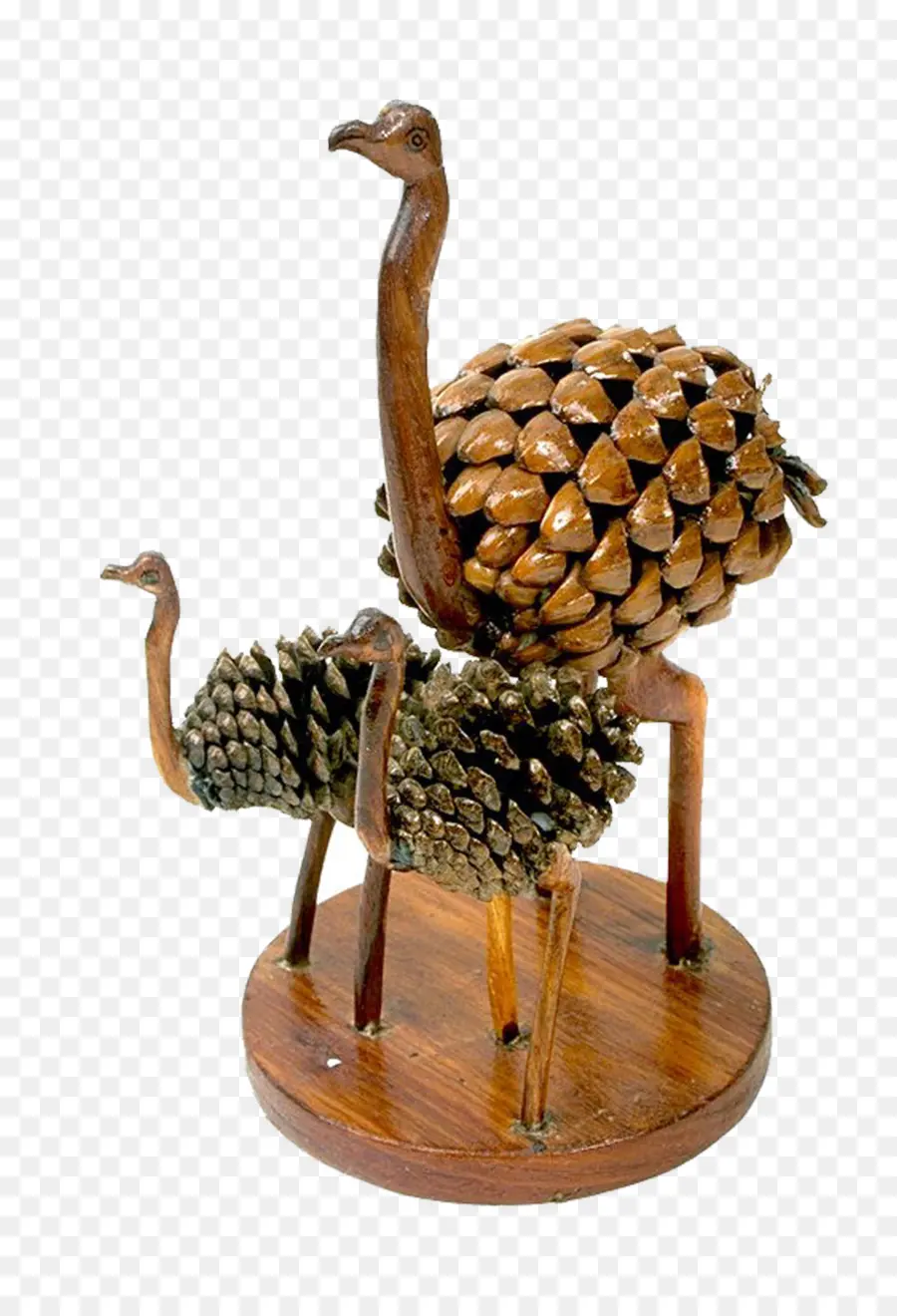 Umum Burung Unta，Museum Seni Populer PNG