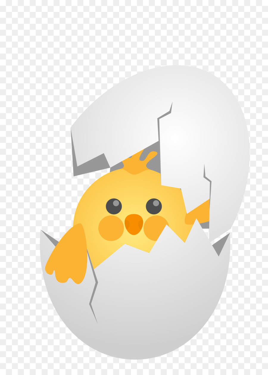 28 Gambar Kartun Telur Ayam Gambar Kartun Hd
