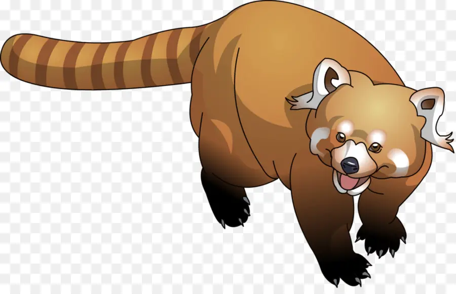 Rakun，Panda Merah PNG