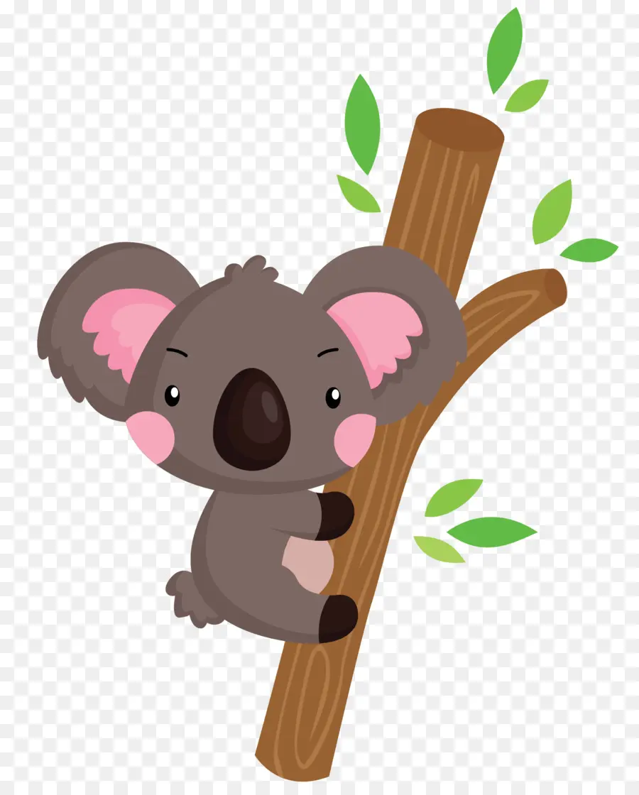 Koala，Pohon PNG