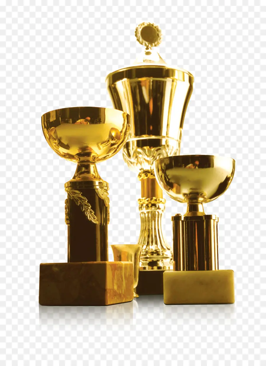 Piala Emas，Piala PNG