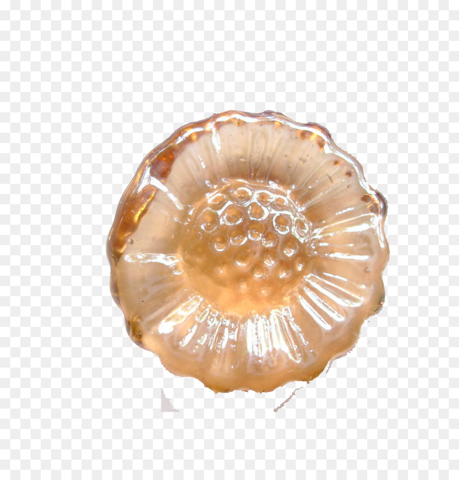 Biji Teratai，Nelumbo Nucifera PNG