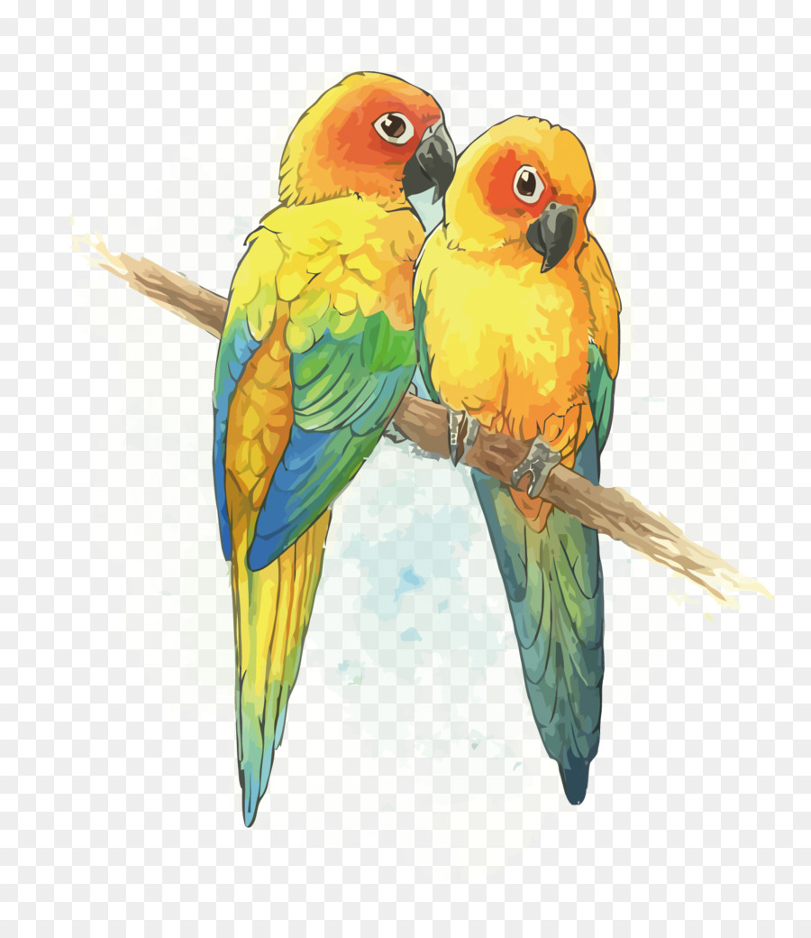 Gambar Vektor Burung Lovebird - Gambar Burung