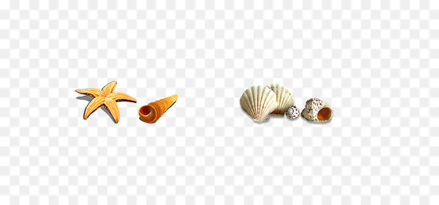 Kerang，Men Download PNG