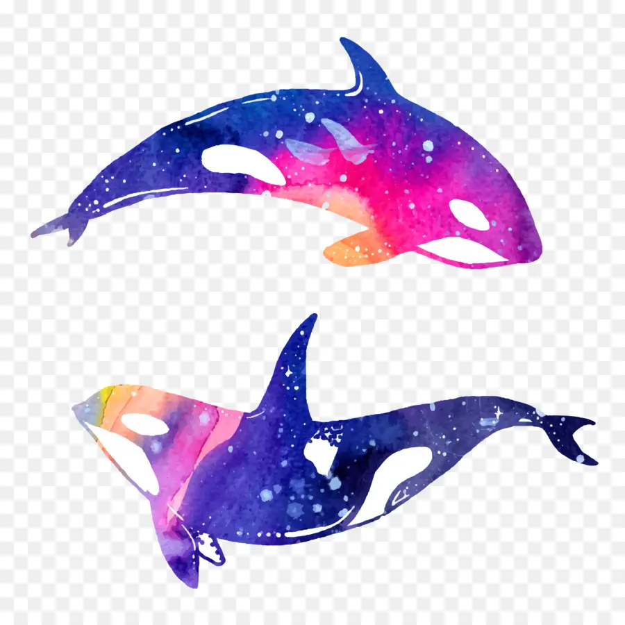 Orca，Paus PNG