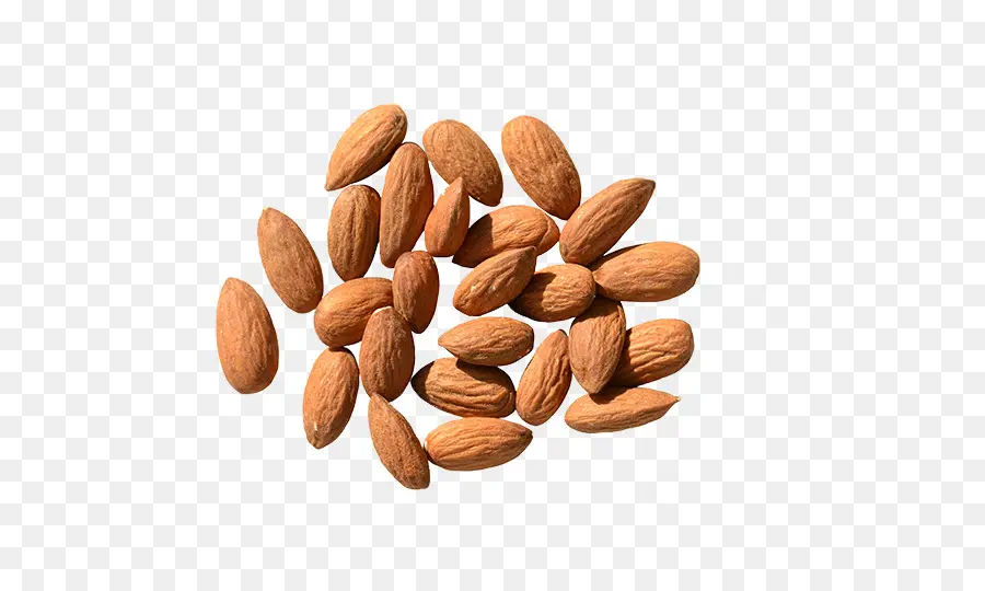 Nutrisi，Almond PNG