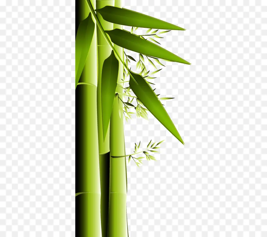 Bambu，Arang Bambu PNG