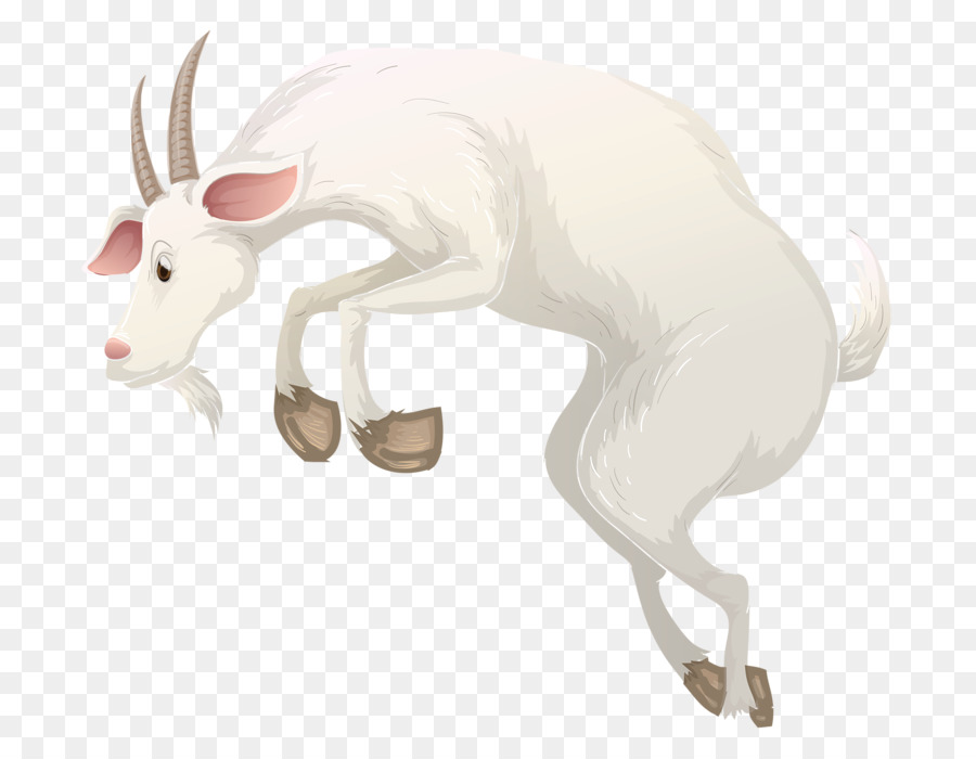 Kambing，Ternak PNG