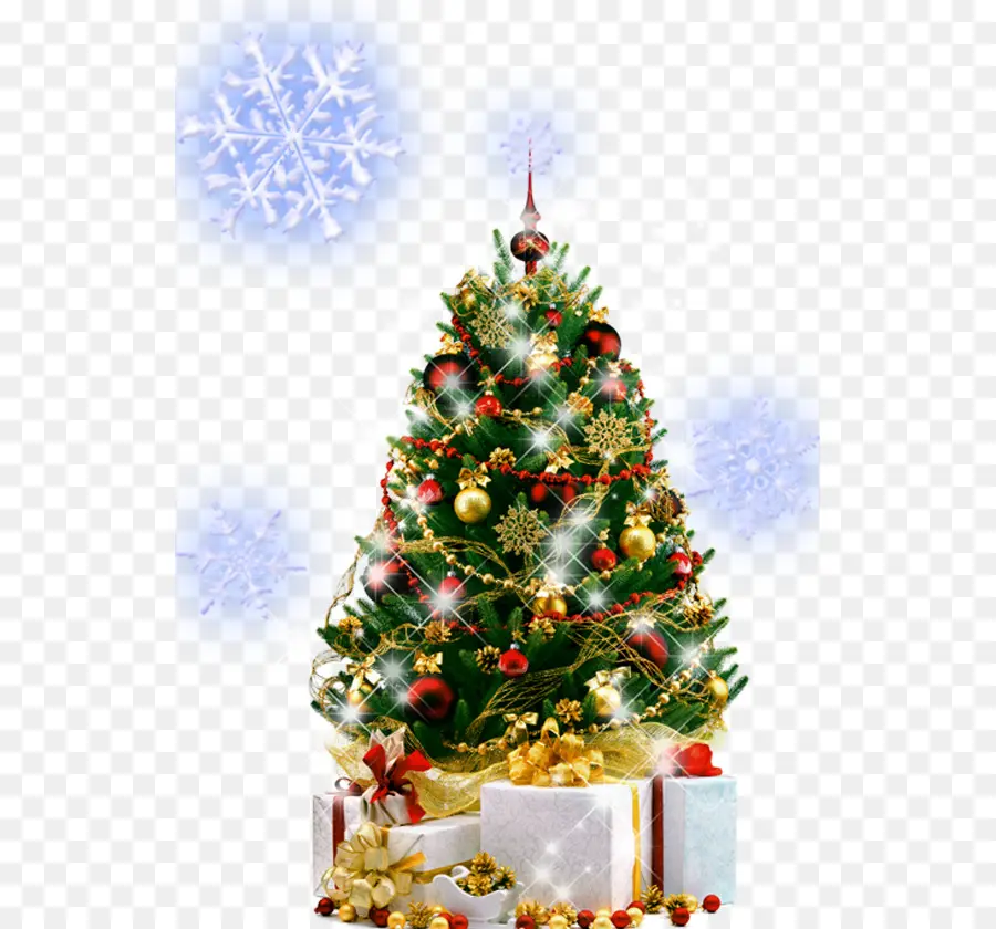 Pohon Natal，Pohon Tahun Baru PNG