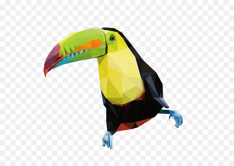 Toucan Geometris，Tropis PNG