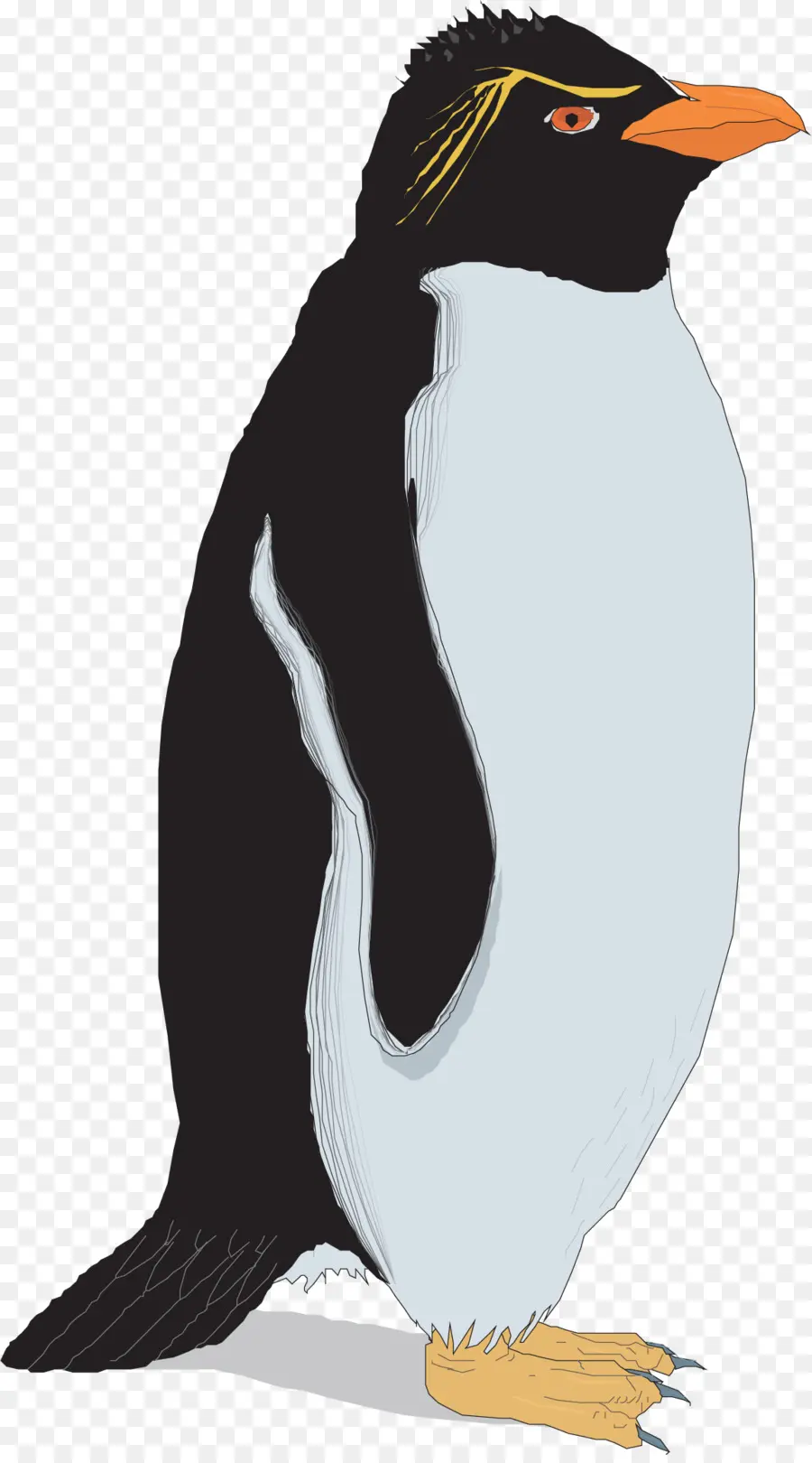 Penguin，Burung PNG