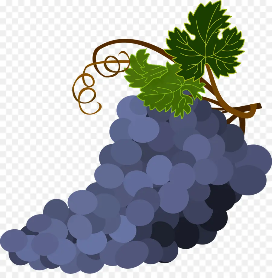 Anggur，Umum Anggur Anggur PNG