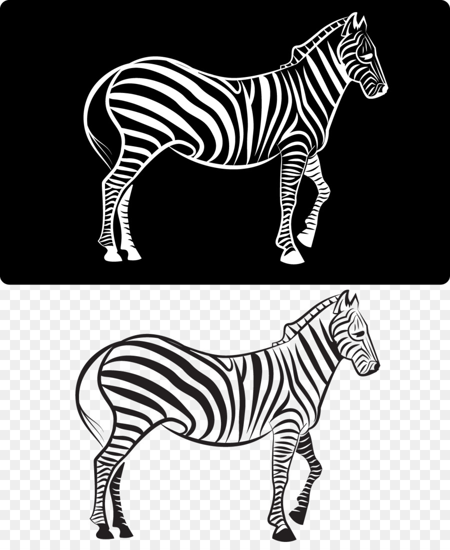 Zebra，Garis Garis PNG