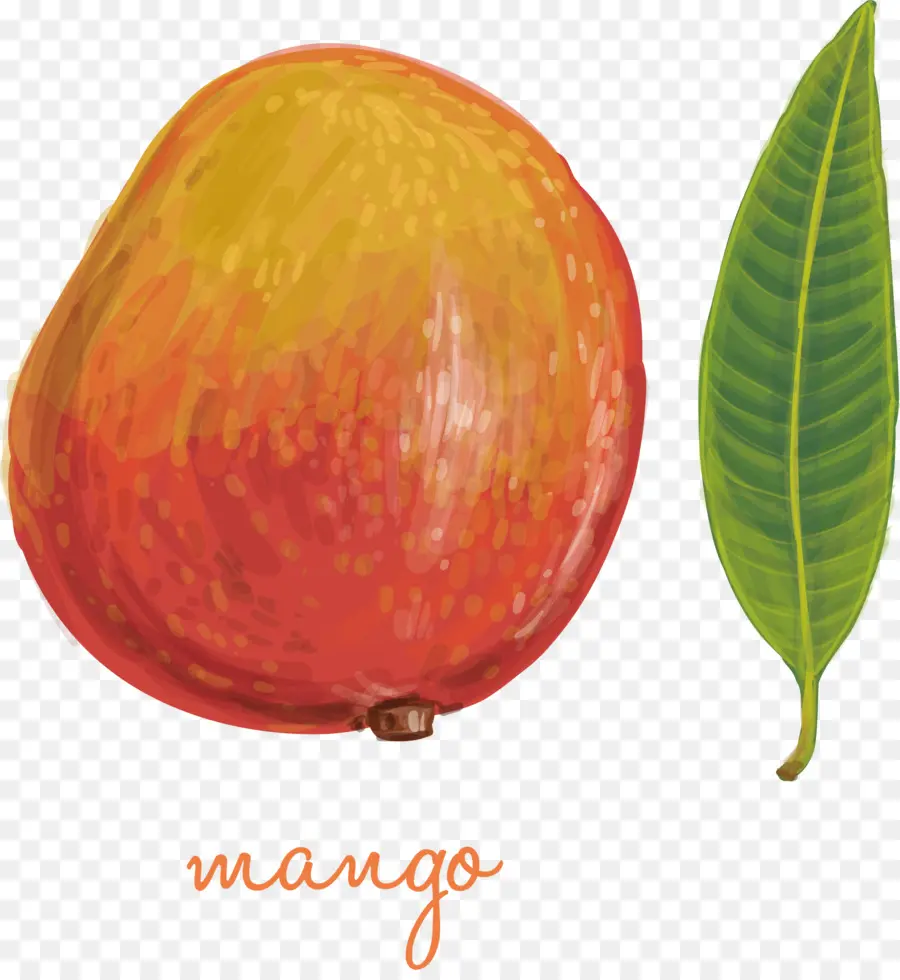 Buah Mangga，Daun PNG