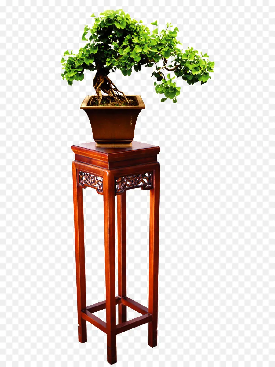 Bonsai Di Stand，Miniatur PNG