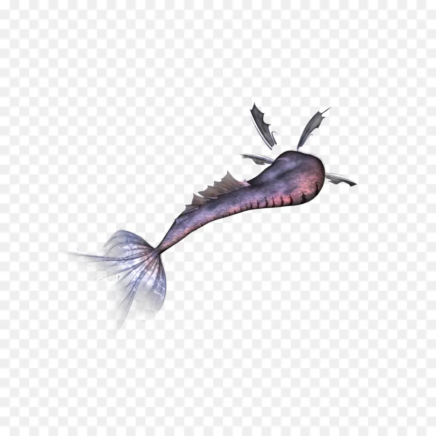 Ikan，Laut PNG