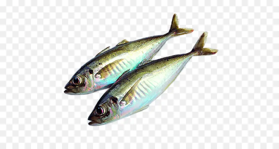 Ikan，Pengeringan Makanan PNG