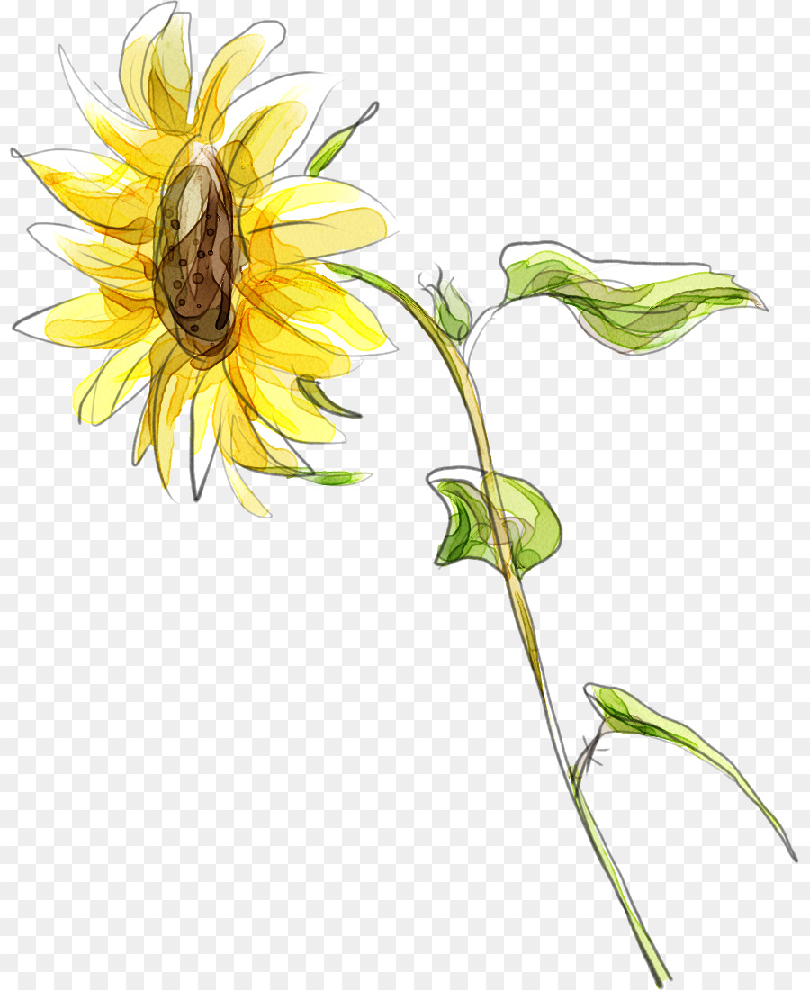 Umum Bunga Matahari Kartun Animasi Gambar Png