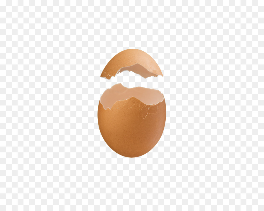 Ayam Kulit Telur  Telur  gambar png 