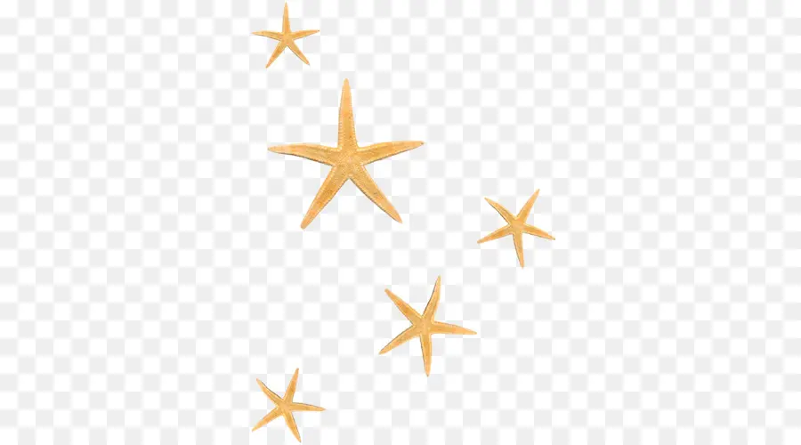 Bintang Laut，Bintang PNG