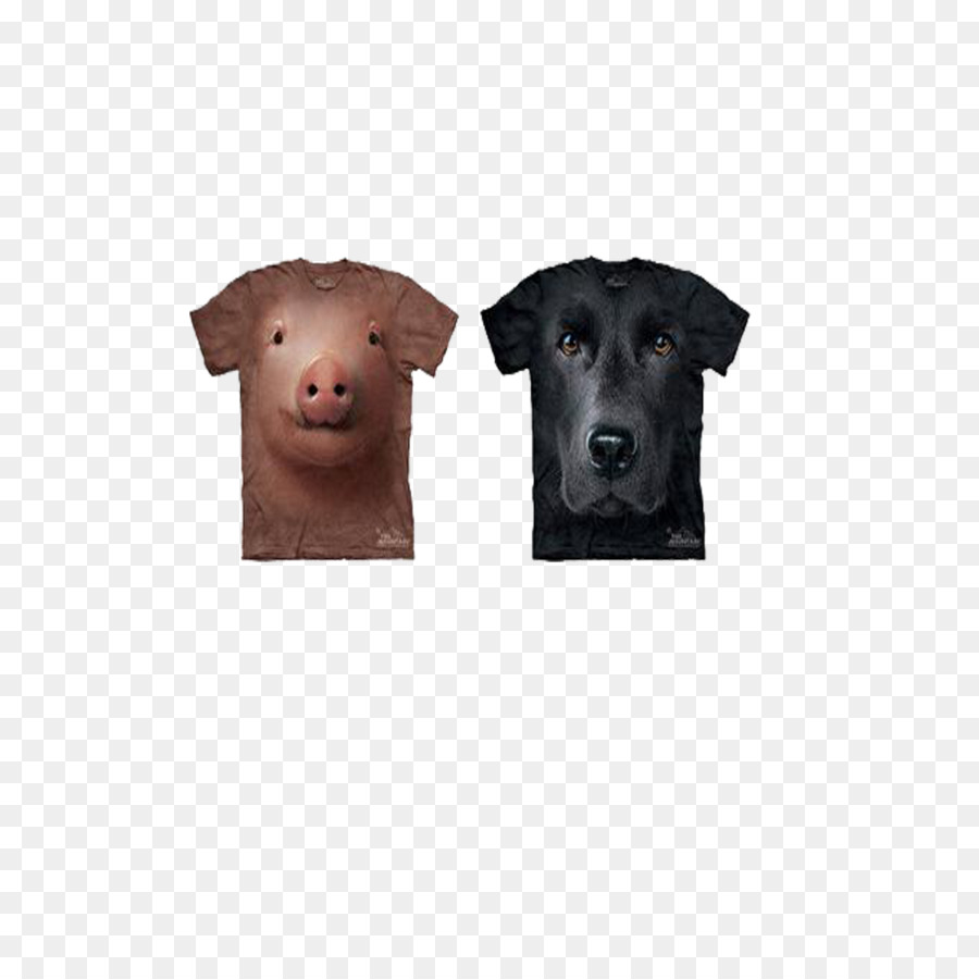 Labrador Retriever，Tshirt PNG