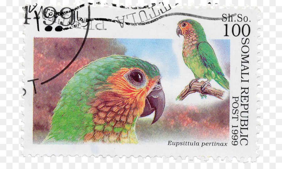 Cap Burung Beo，Burung PNG