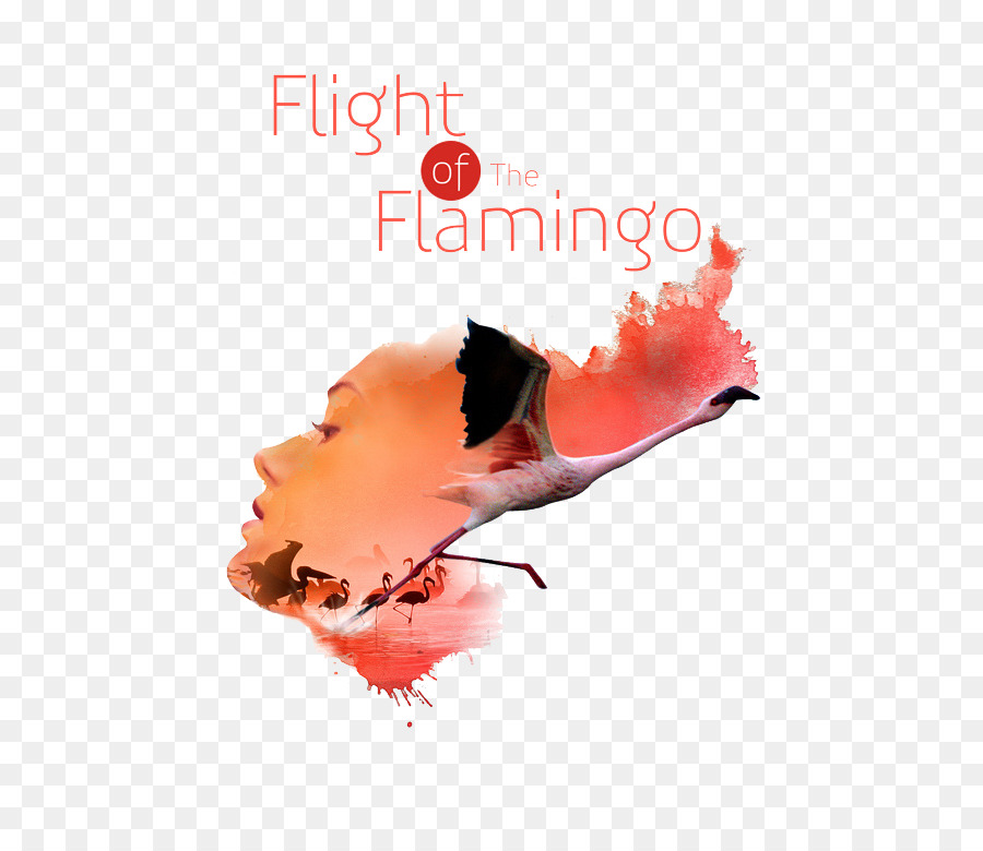 Flamingo，Penerbangan PNG