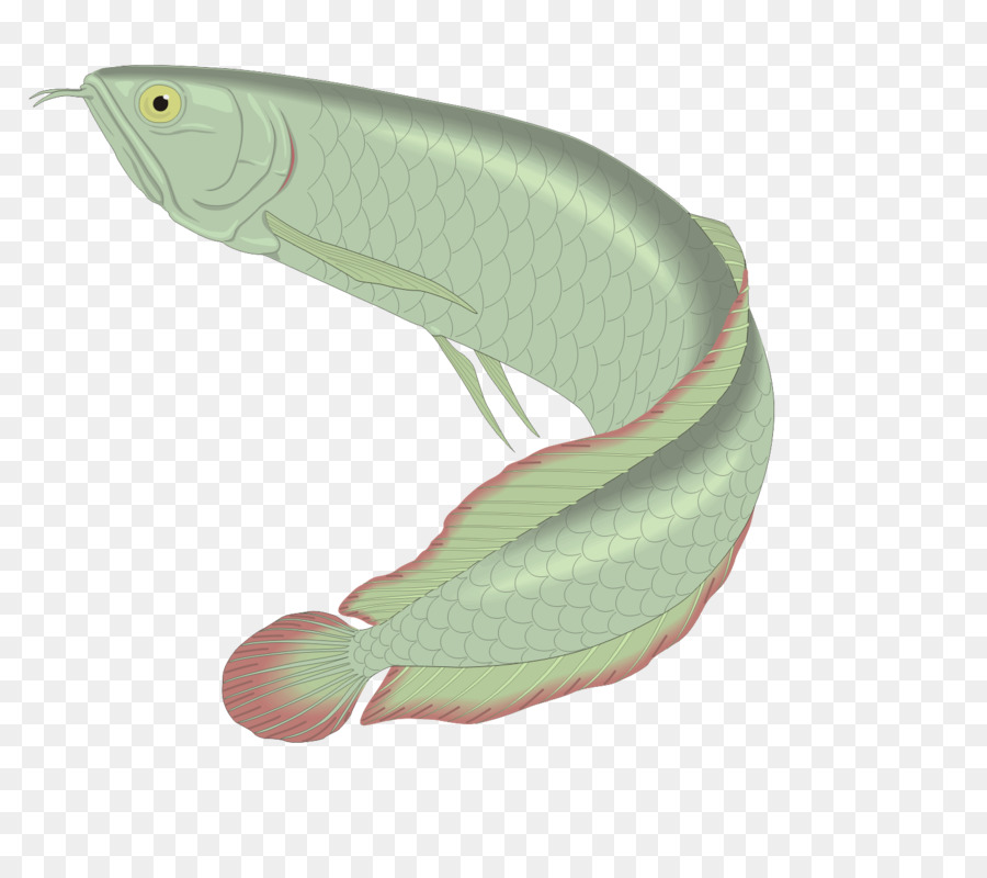 Ikan，Hijau PNG