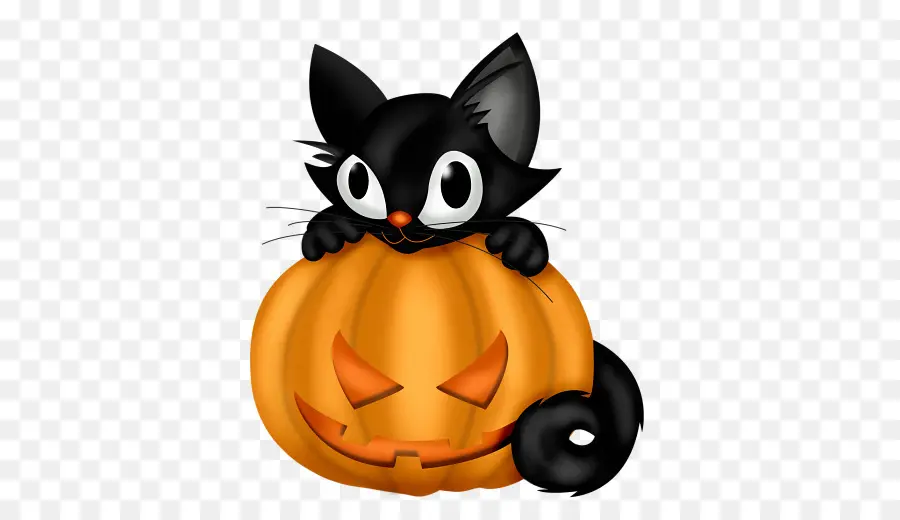 Kucing，Halloween PNG