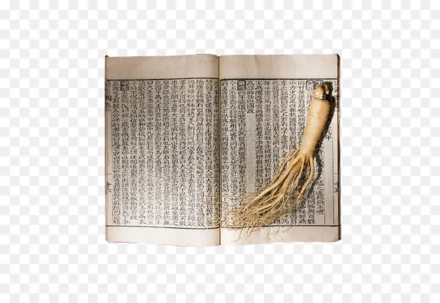 Buka Buku，Ginseng PNG