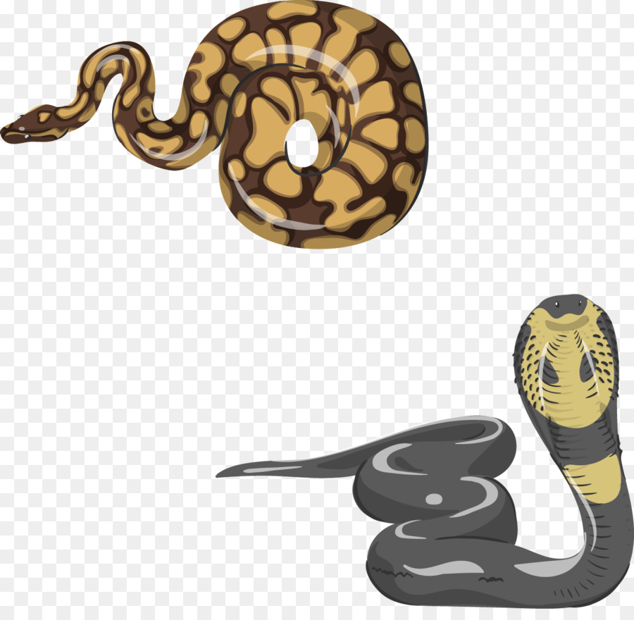 Reptil，Ular PNG