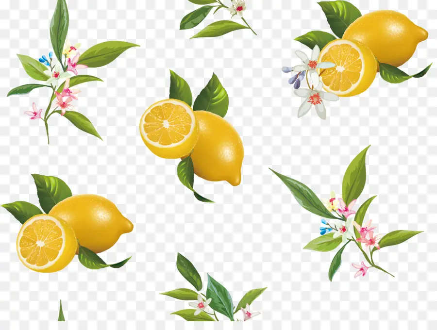 Lemon，Jeruk Pahit PNG
