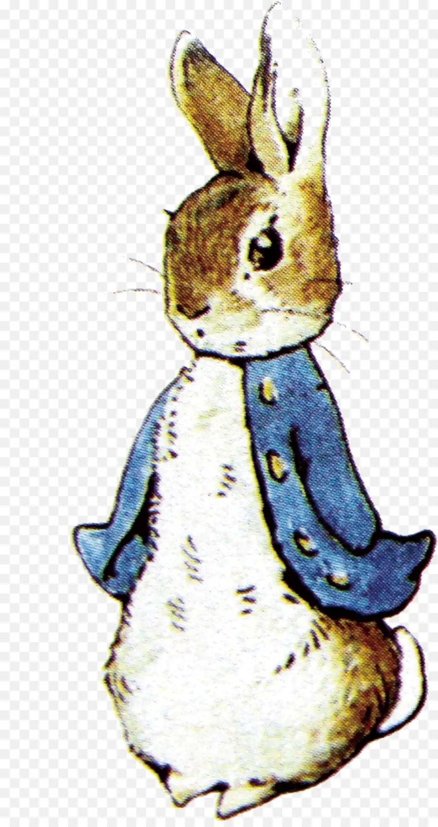 Peter Rabbit，Kisah Petrus Kelinci PNG