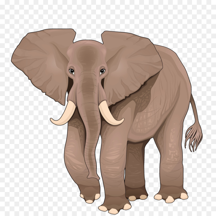 Gajah Afrika Gambar Gajah Kartun