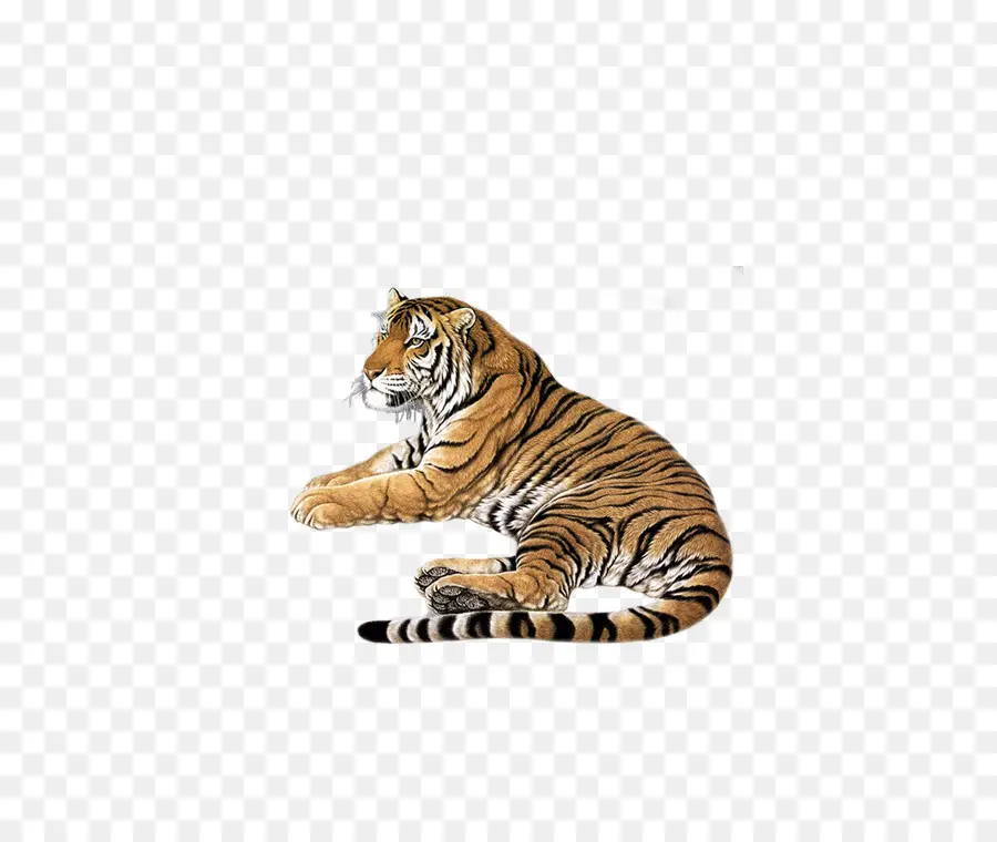 Harimau，Liar PNG