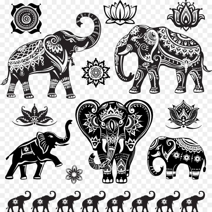 Gajah，Gajah India PNG
