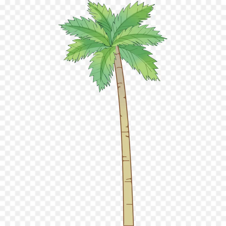 Arecaceae，Kelapa PNG