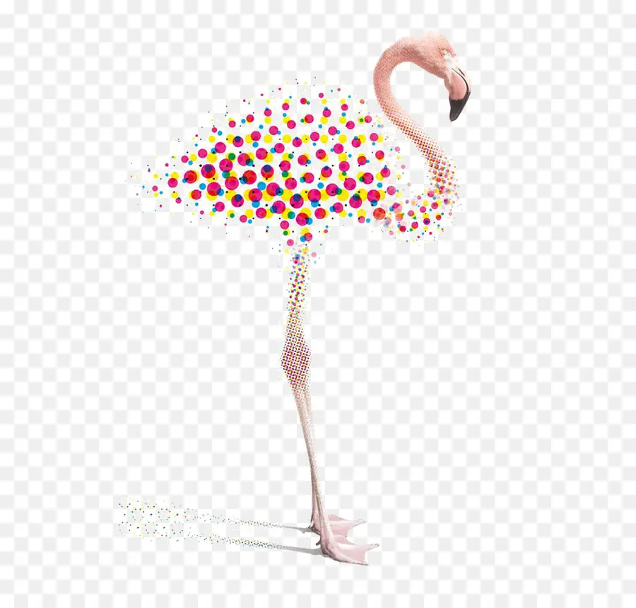 Flamingo，Burung PNG