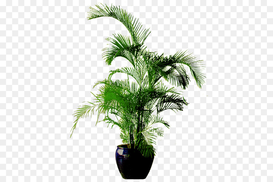 Pot Bunga, Bonsai, Bunga gambar png