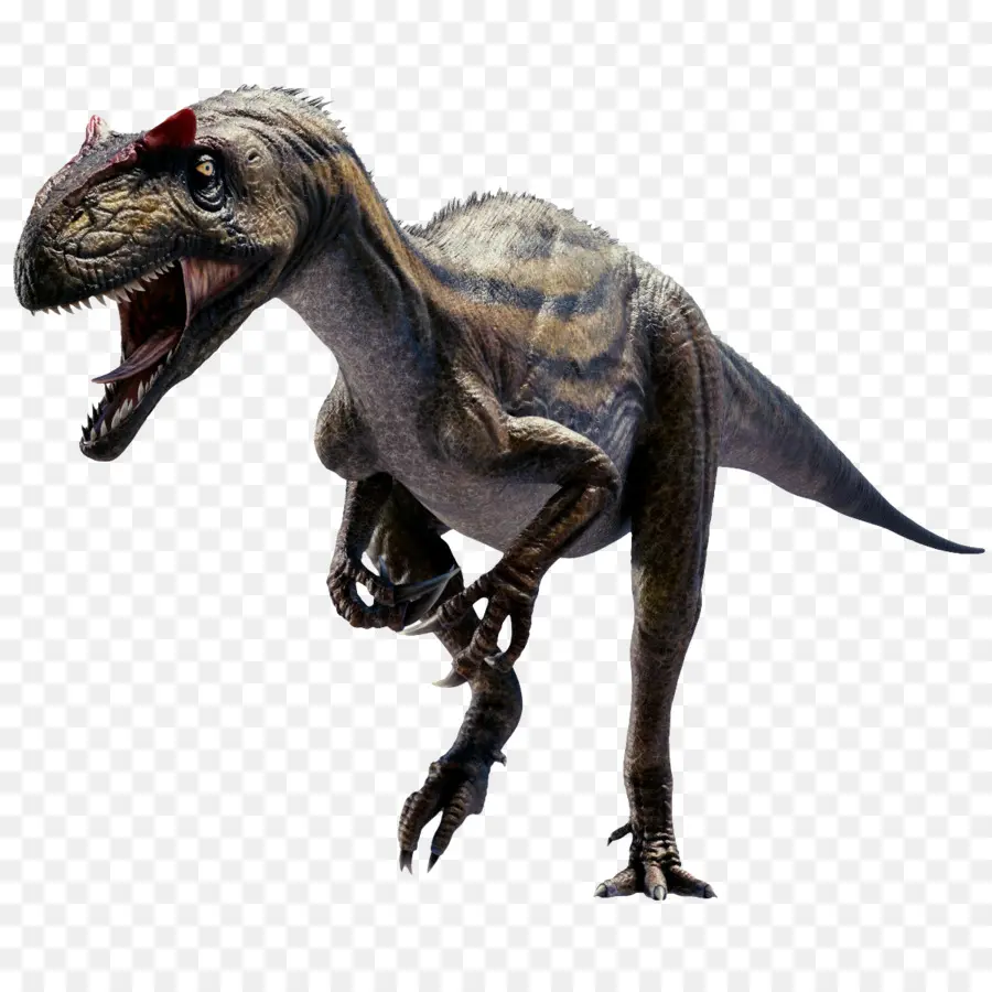 Allosaurus，Tyrannosaurus PNG